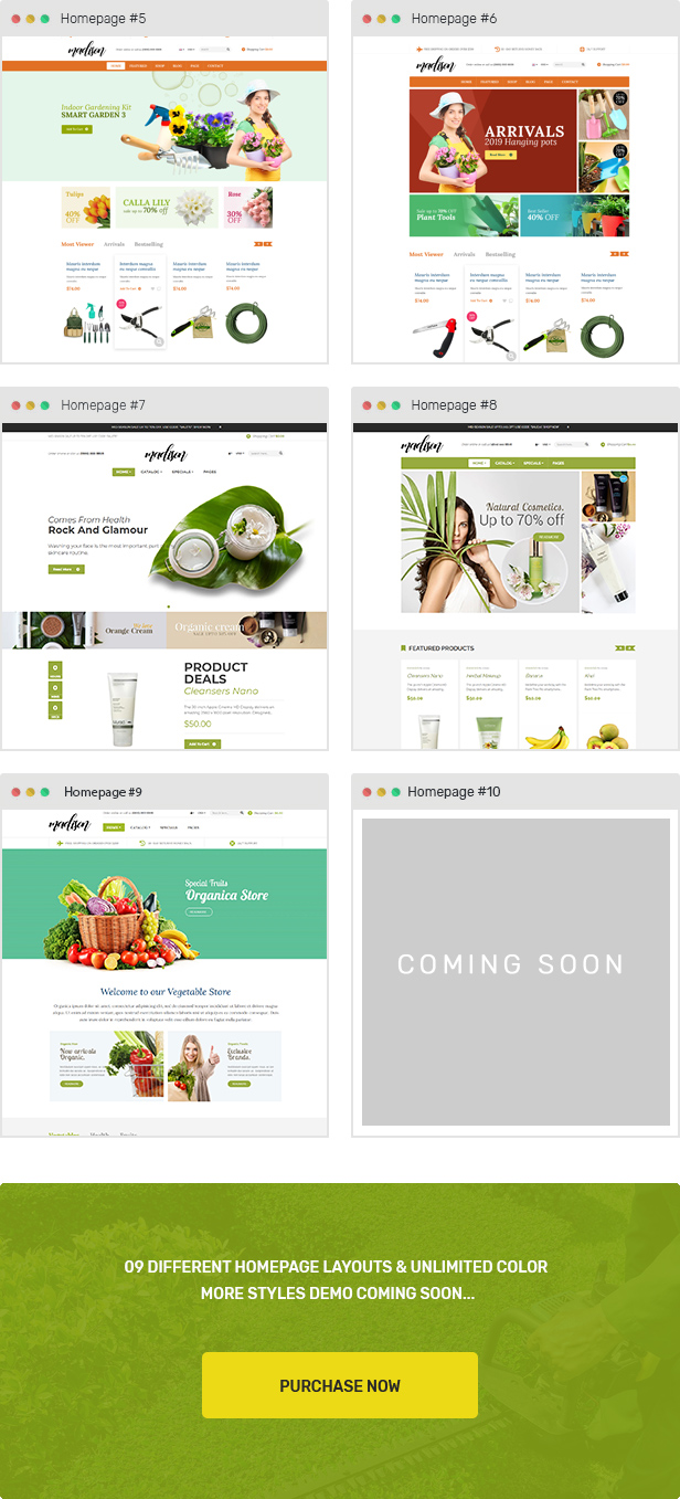 organic shopify themes